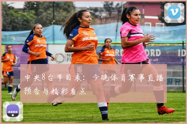 中央8台节目表：今晚体育赛事直播预告与精彩看点