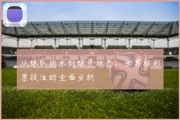 从球队战术到球员状态：世界杯彩票投注的全面分析