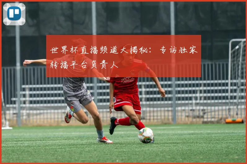 世界杯直播频道大揭秘:专访独家转播平台负责人