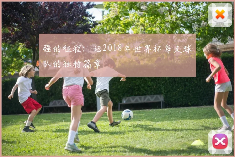强的征程：记2018年世界杯每支球队的独特篇章