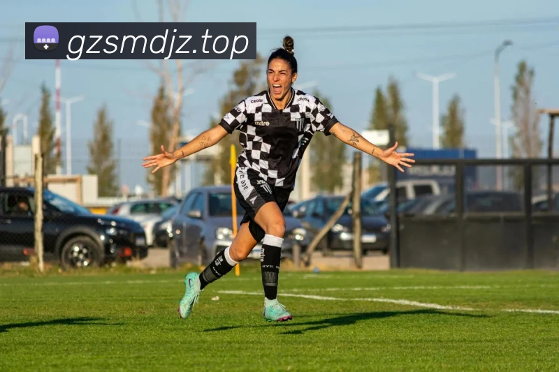 辅助工具 辅助工具